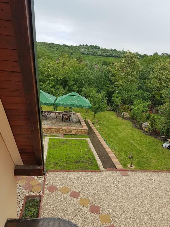 Pensiunea Brazi Turda Buitenkant foto