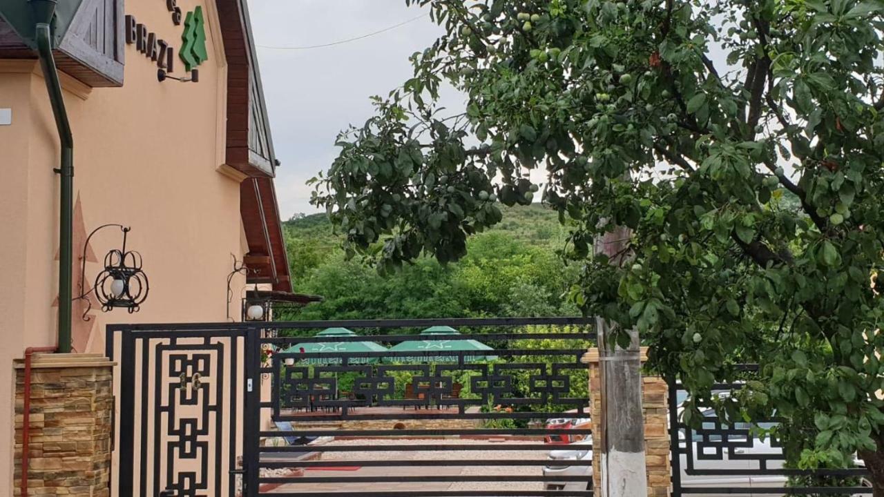 Pensiunea Brazi Turda Buitenkant foto