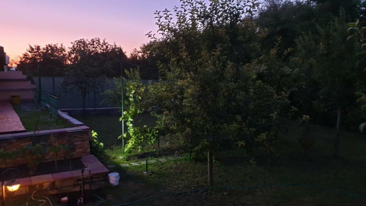 Pensiunea Brazi Turda Buitenkant foto